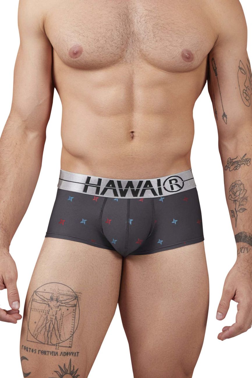 HAWAIR Men's Underwear 42530 Printed Microfiber Briefs Color Gray