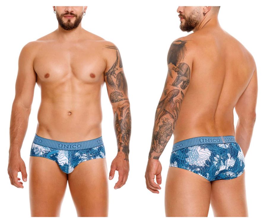 Barniz Briefs