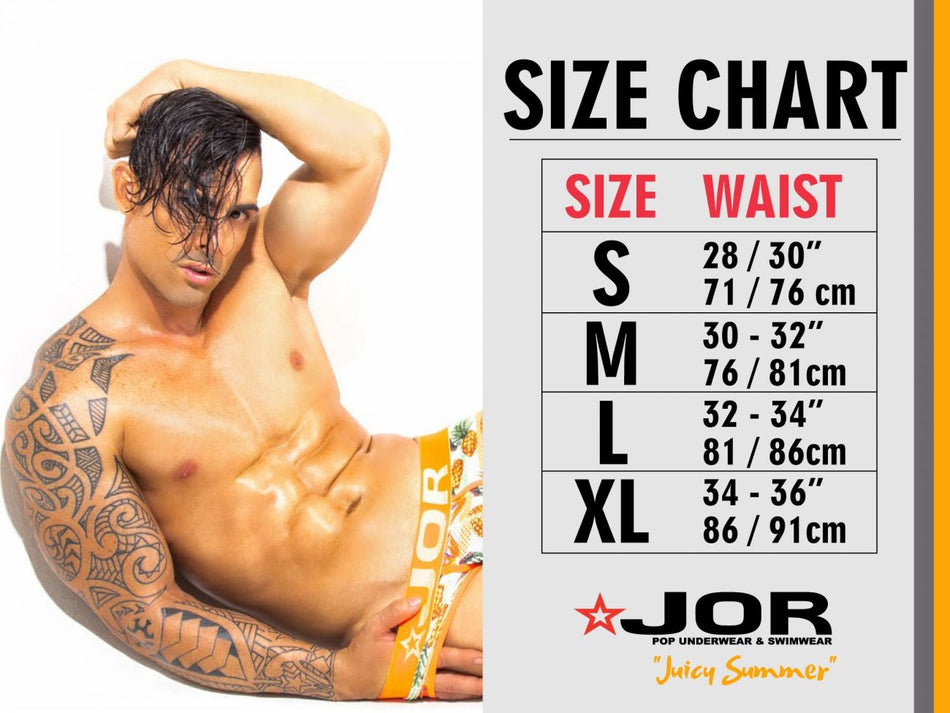 Orion Harness